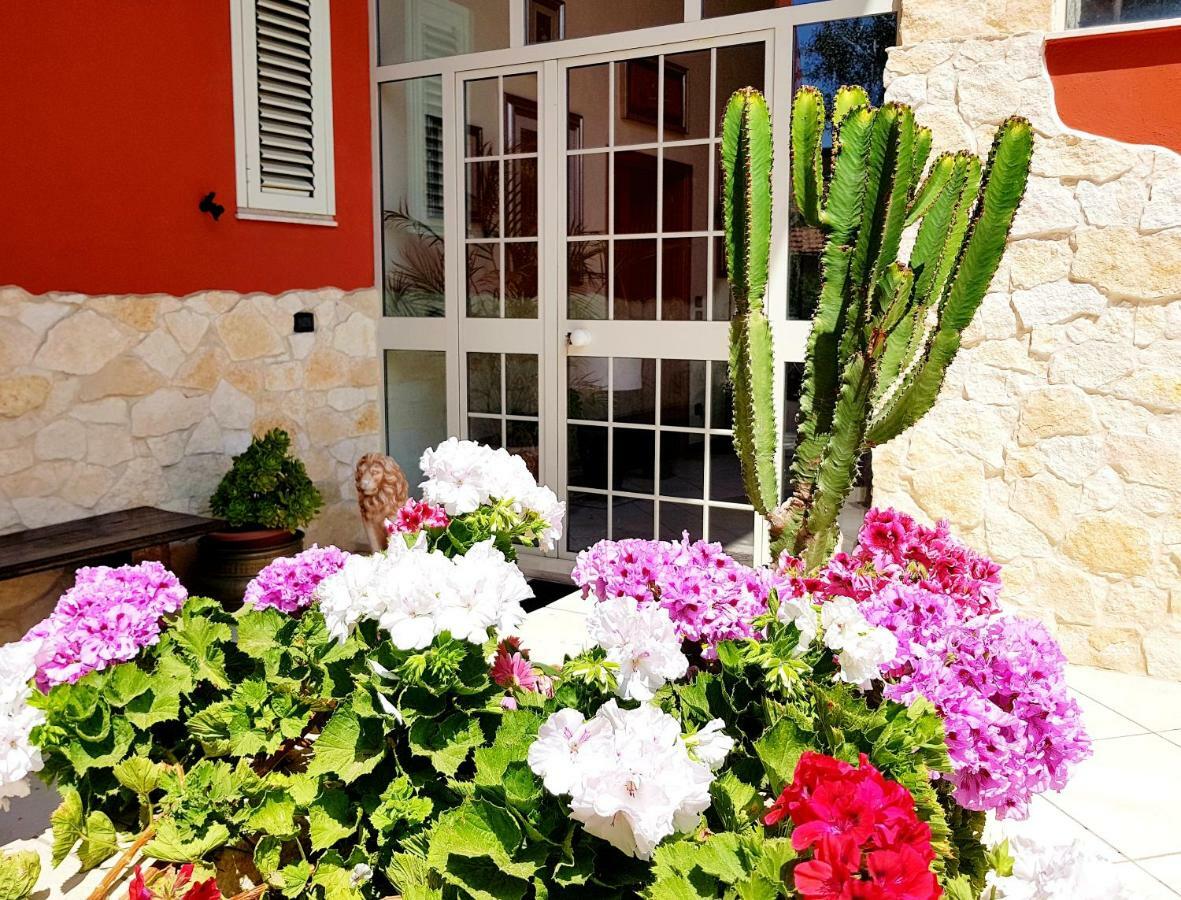 B&B Welcome Pedara Exteriér fotografie