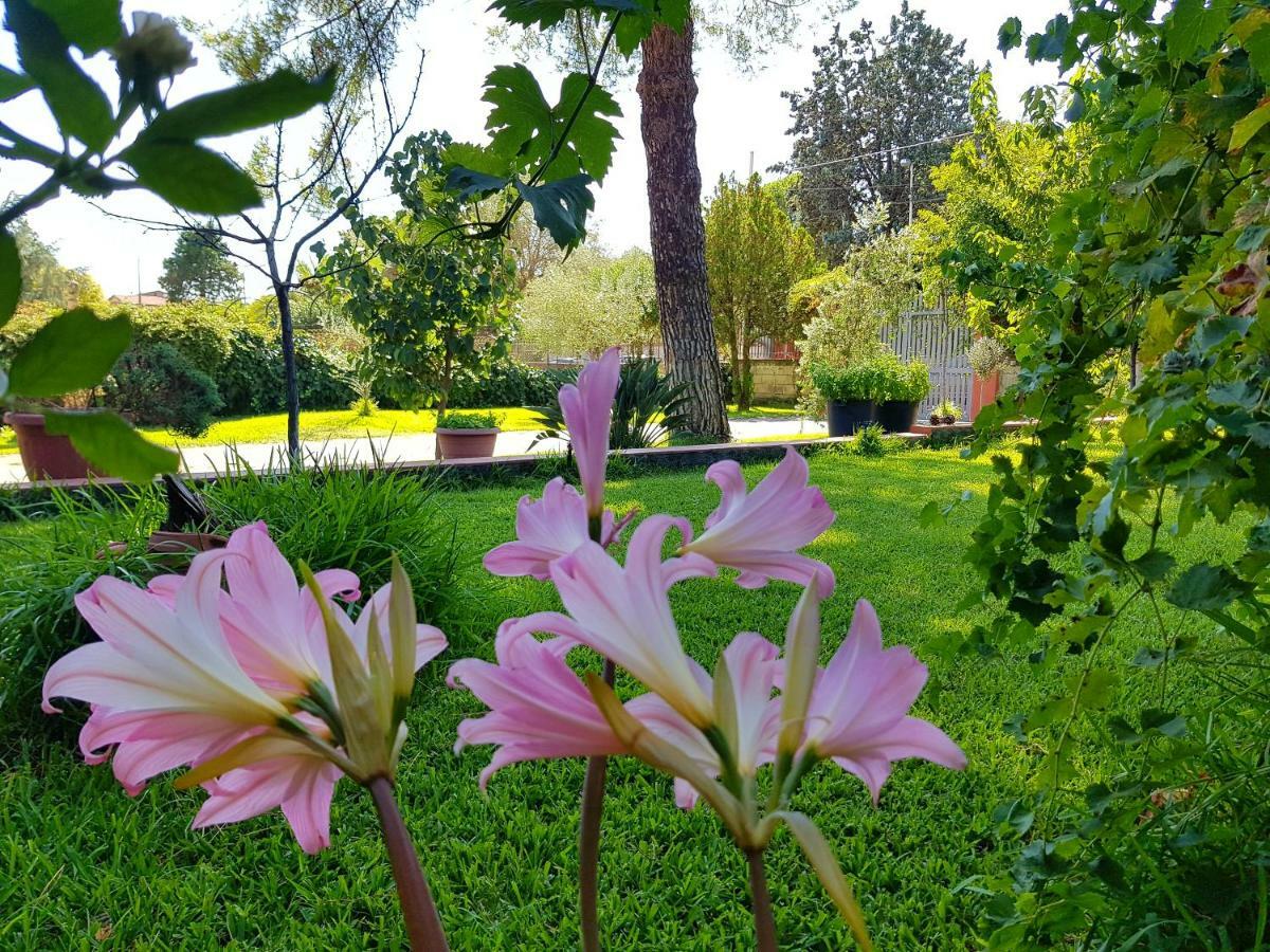 B&B Welcome Pedara Exteriér fotografie